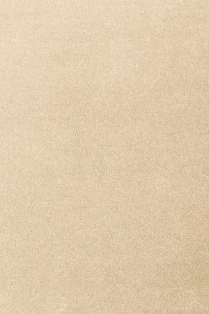 Ковровое покрытие AW Oinone 34 - (5м) в Санкт-Петербурге