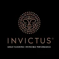 ПВХ плитка Invictus в Санкт-Петербурге