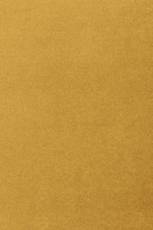 Ковровое покрытие AW Oinone 54 - (4м) в Санкт-Петербурге