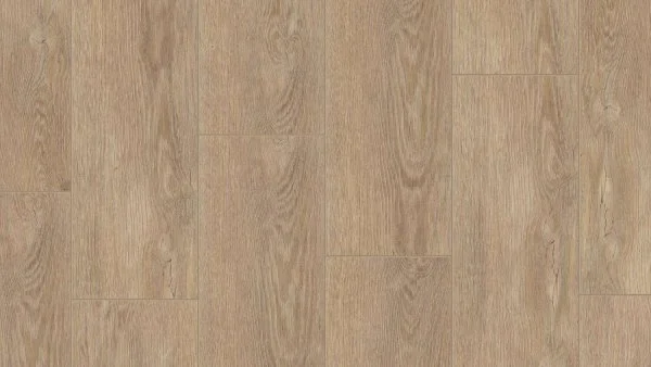 THH_TECH_HOUSE_Lukas_