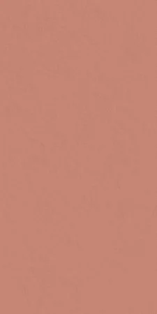 Керамогранит Italon Серфейс Скарлетт (Патинированная, 60x120) в Санкт-Петербурге