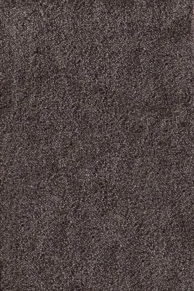 Ковровое покрытие AW Messalina 44 - (4м) в Санкт-Петербурге