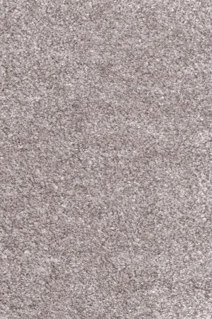 Ковровое покрытие AW Euphoria 16 - (5м) в Санкт-Петербурге