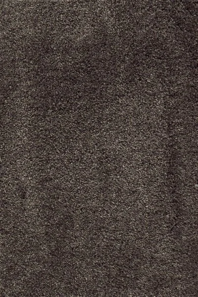 Ковровое покрытие AW Fedone 44 - (5м) в Санкт-Петербурге