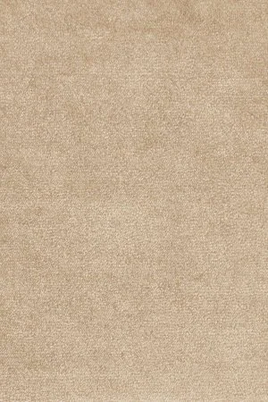 Ковровое покрытие AW Omphale 37 - (5м) в Санкт-Петербурге