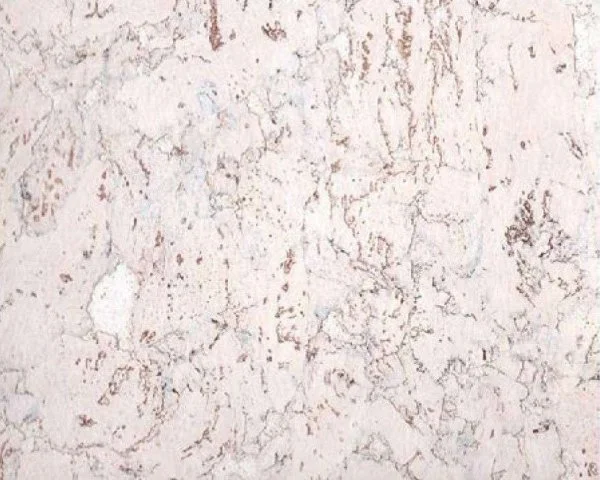 Настенное пробковое покрытие CorkArt PW 324 WS в Санкт-Петербурге