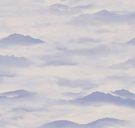 Обои Loymina Clair CLR4, 006 в Санкт-Петербурге