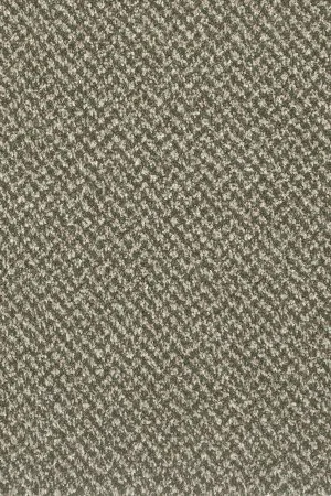 Ковровое покрытие AW Stainaway Tweed 24 - (4м) в Санкт-Петербурге