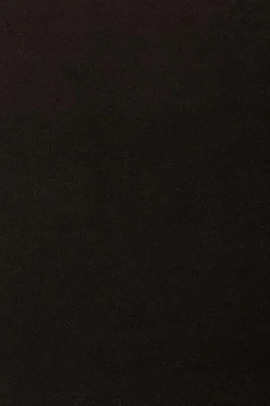 Ковровое покрытие AW Oinone 99 - (5м) в Санкт-Петербурге