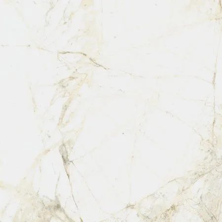 Керамогранит Coliseum Канова Уайт 60х60 (Натуральный и Реттифицированный) в Санкт-Петербурге