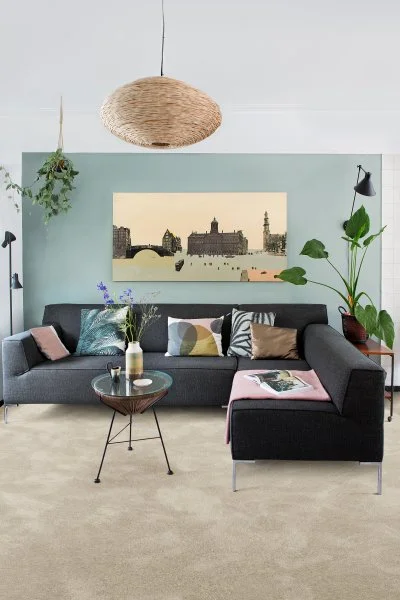 Ковровое покрытие AW Brooklyn Plain 03 - (5м) в Санкт-Петербурге