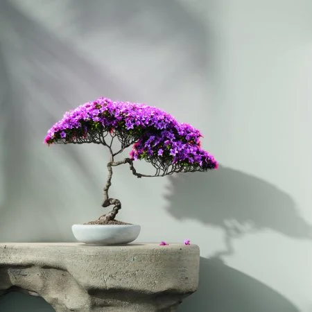 Обои Loymina Lotus LOT1 112 в Санкт-Петербурге