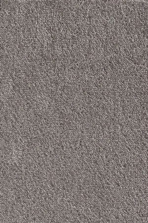 Ковровое покрытие AW Messalina 49 - (5м) в Санкт-Петербурге