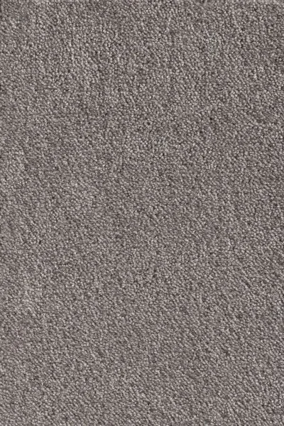 Ковровое покрытие AW Messalina 49 - (5м) в Санкт-Петербурге