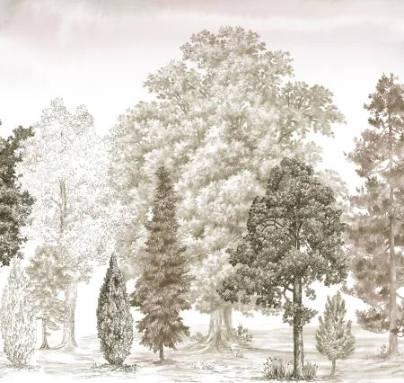 Обои Loymina Пейзаж vol. 2 ART14 012 в Санкт-Петербурге