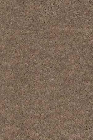 Ковровое покрытие AW Euphoria 36 - (5м) в Санкт-Петербурге