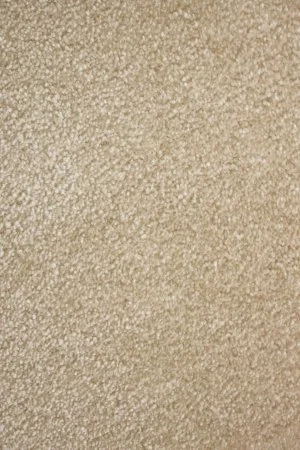 Ковровое покрытие AW Euphoria 33 - (4м) в Санкт-Петербурге