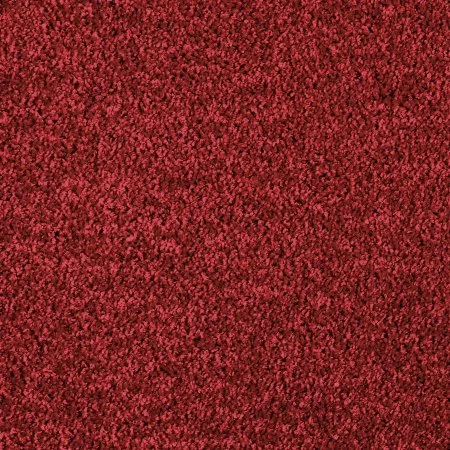 Ковровое покрытие AW Kiama 11 - (5м) в Санкт-Петербурге