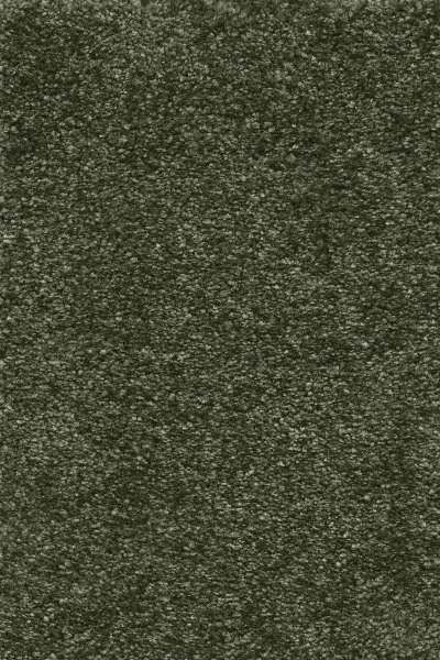 Ковровое покрытие AW Certosa 24 - (4м) в Санкт-Петербурге