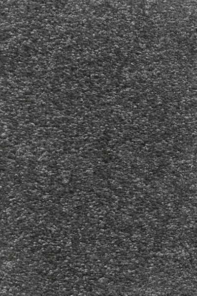 Ковровое покрытие AW Omnia 97 - (4м) в Санкт-Петербурге