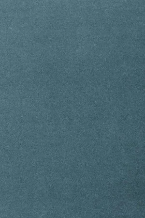 Ковровое покрытие AW Oinone 74 - (5м) в Санкт-Петербурге