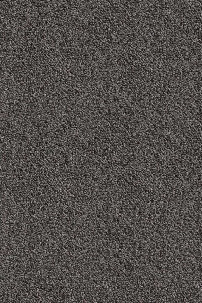 Ковровое покрытие AW Messalina 99 - (5м) в Санкт-Петербурге