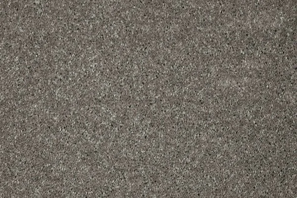 Ковровое покрытие AW Gala 94 - (5м) в Санкт-Петербурге