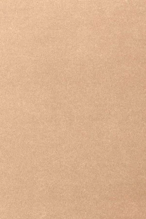 Ковровое покрытие AW Oinone 08 - (5м) в Санкт-Петербурге