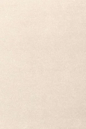 Ковровое покрытие AW Oinone 03 - (5м) в Санкт-Петербурге