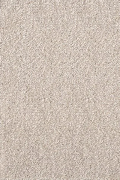 Ковровое покрытие AW Messalina 34 - (5м) в Санкт-Петербурге