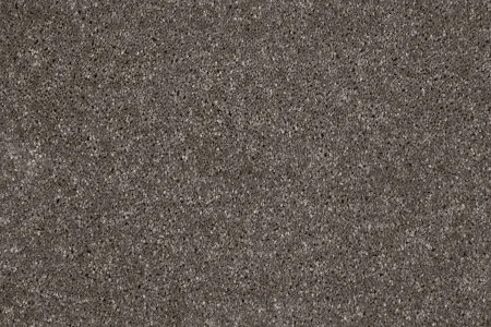 Ковровое покрытие AW Gala 49 - (5м) в Санкт-Петербурге