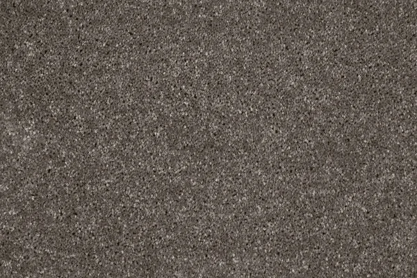 Ковровое покрытие AW Gala 49 - (4м) в Санкт-Петербурге