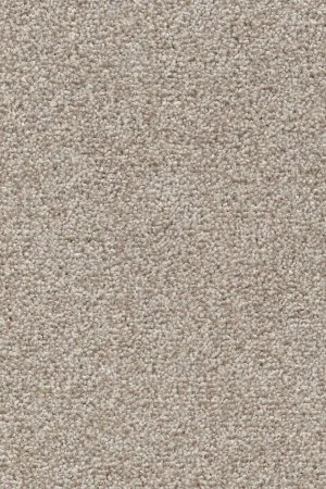 Ковровое покрытие AW Stainguard Harvest 04 - (4м) в Санкт-Петербурге