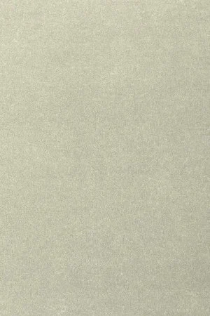 Ковровое покрытие AW Oinone 02 - (5м) в Санкт-Петербурге