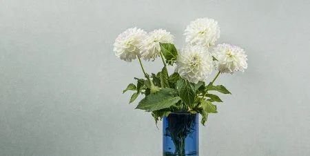 Обои Loymina Shade vol.2 SDR5, 001 в Санкт-Петербурге