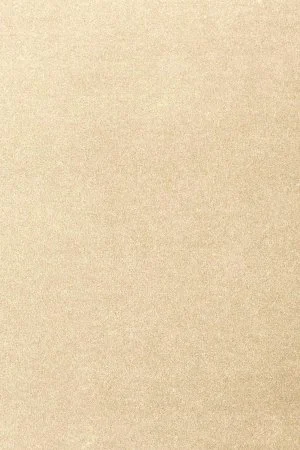 Ковровое покрытие AW Oinone 33 - (4м) в Санкт-Петербурге