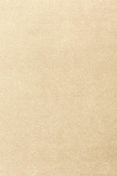 Ковровое покрытие AW Oinone 33 - (4м) в Санкт-Петербурге