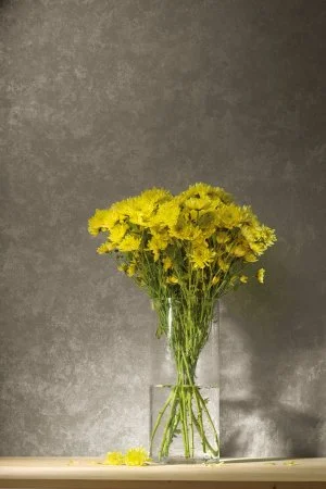 Обои Loymina Golden Library TDG 7, 008 в Санкт-Петербурге