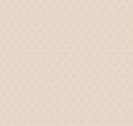 Обои Loymina Golden Library Q11, 002/1 в Санкт-Петербурге