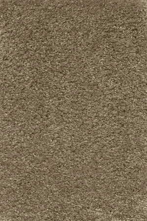 Ковровое покрытие AW Certosa 35 - (5м) в Санкт-Петербурге