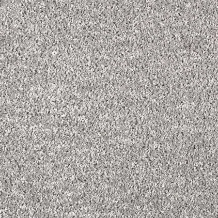 Ковровое покрытие AW Kiama 97 - (5м) в Санкт-Петербурге