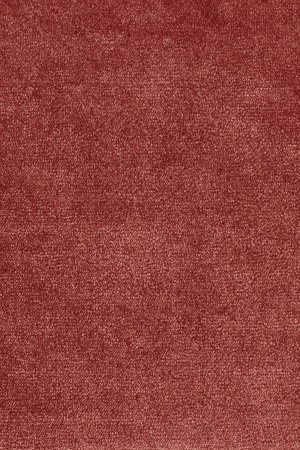 Ковровое покрытие AW Omphale 10 - (5м) в Санкт-Петербурге