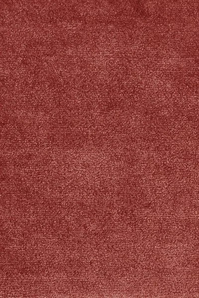 Ковровое покрытие AW Omphale 10 - (5м) в Санкт-Петербурге