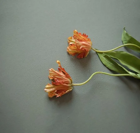 Обои Loymina Russian Classic Ru10, 006 в Санкт-Петербурге