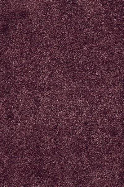 Ковровое покрытие AW Fedone 19 - (5м) в Санкт-Петербурге