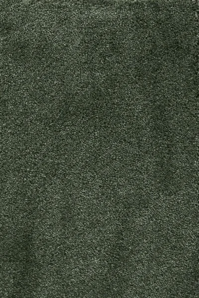 Ковровое покрытие AW Fedone 24 - (5м) в Санкт-Петербурге