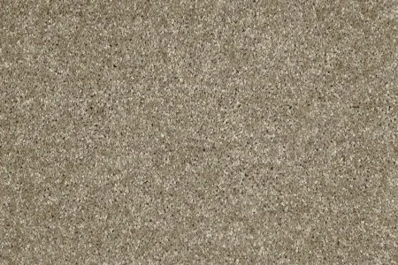 Ковровое покрытие AW Gala 33 - (5м) в Санкт-Петербурге