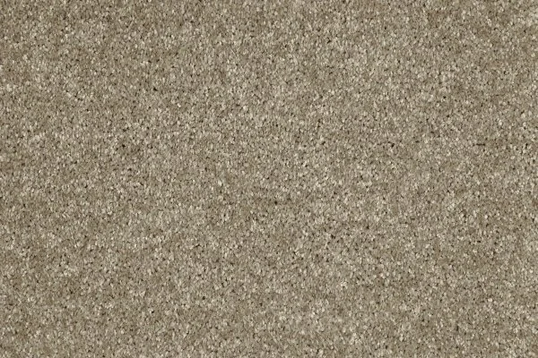 Ковровое покрытие AW Gala 33 - (4м) в Санкт-Петербурге