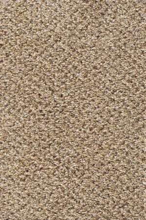 Ковровое покрытие AW Stainaway Tweed 50 - (4м) в Санкт-Петербурге