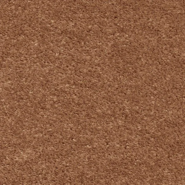 Ковровое покрытие AW Euphoria 84 - (5м) в Санкт-Петербурге